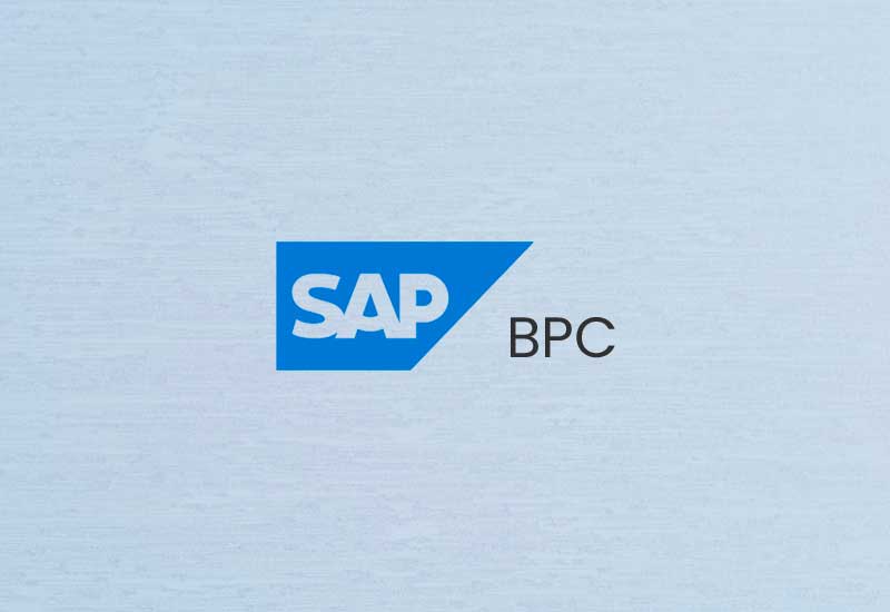 SAP BPC 11.0(Embedded)