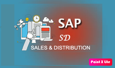 SAP SD S4HANA Logistics