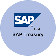 SAP Treasury and Banking